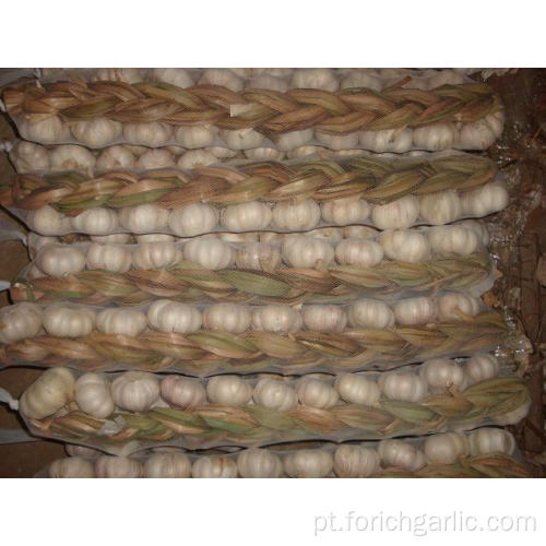 Tiras de alho Jinxiang em 30cm-60cm de comprimento